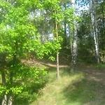 山林小屋 Dom Letniskowy Posrod Kaszubskiego Lasu *