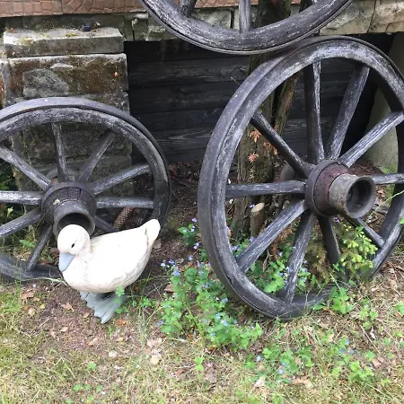 Dom Letniskowy Posrod Kaszubskiego Lasu Alojamento de Turismo Selvagem *