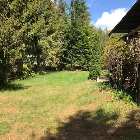 Dom Letniskowy Posrod Kaszubskiego Lasu *