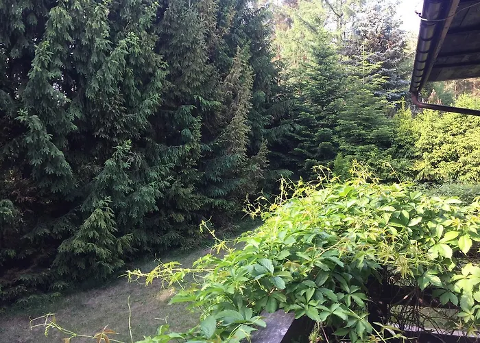 Dom Letniskowy Posrod Kaszubskiego Lasu