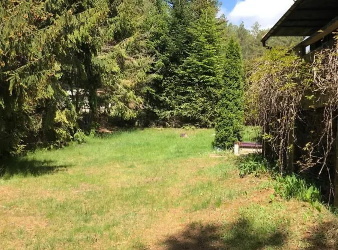 Dom Letniskowy Posrod Kaszubskiego Lasu *