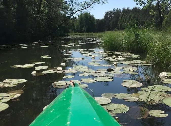 Dom Letniskowy Posrod Kaszubskiego Lasu * Studzienice