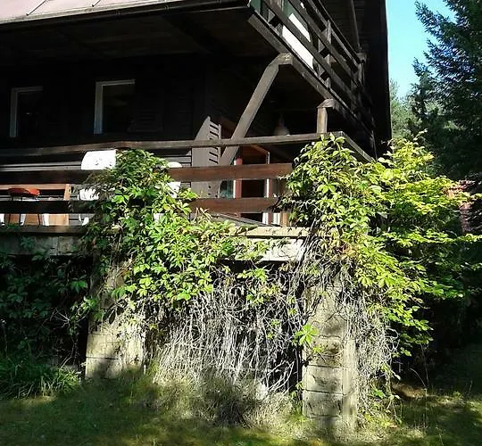 Dom Letniskowy Posrod Kaszubskiego Lasu Chata Studzienice