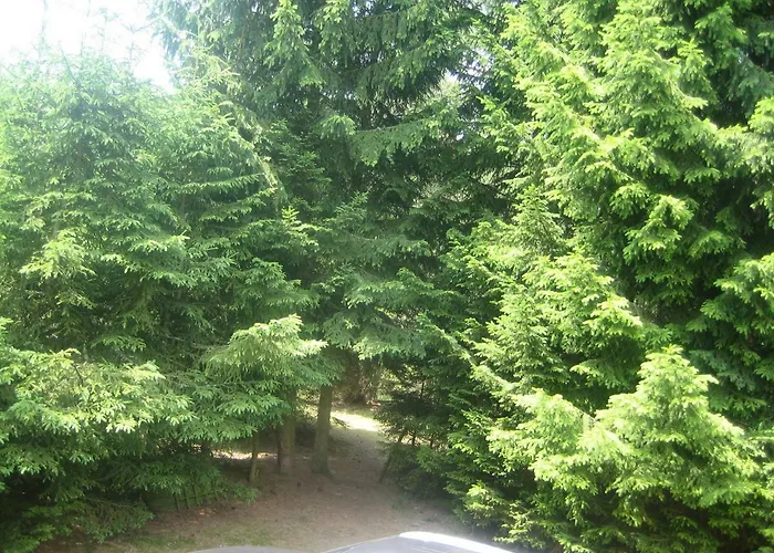 Dom Letniskowy Posrod Kaszubskiego Lasu