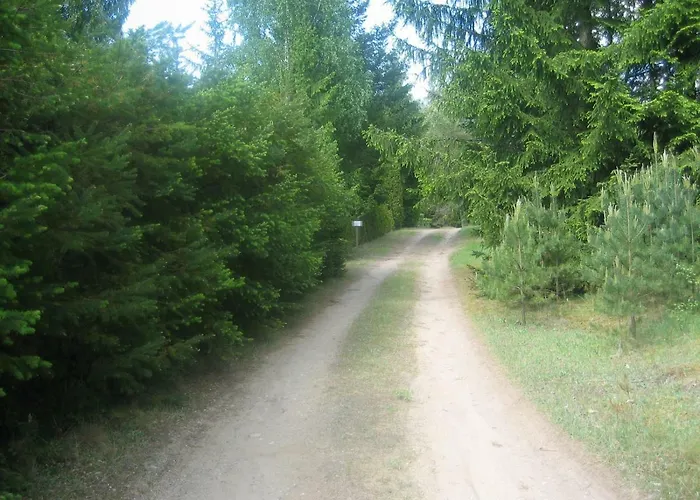 Dom Letniskowy Posrod Kaszubskiego Lasu Studzienice