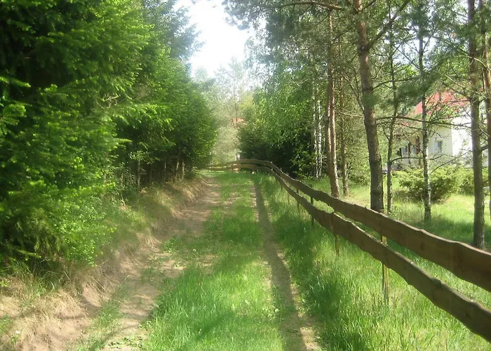 Dom Letniskowy Posrod Kaszubskiego Lasu *