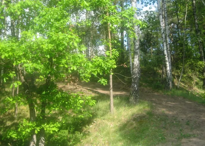 Chata Dom Letniskowy Posrod Kaszubskiego Lasu *